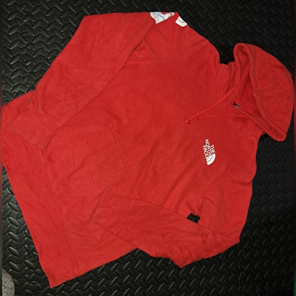 2017 The North Face expedition antartica hoodie